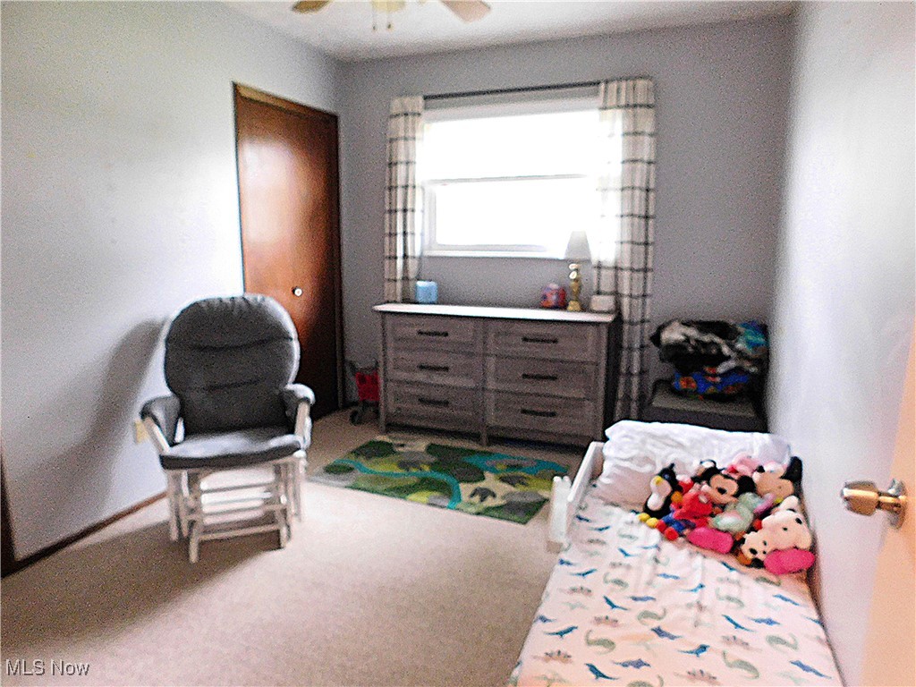 8754 Root Road North Ridgeville, OH 44039 - Photo 28 of 39 Bedroom with a ceiling fan and carpet floors