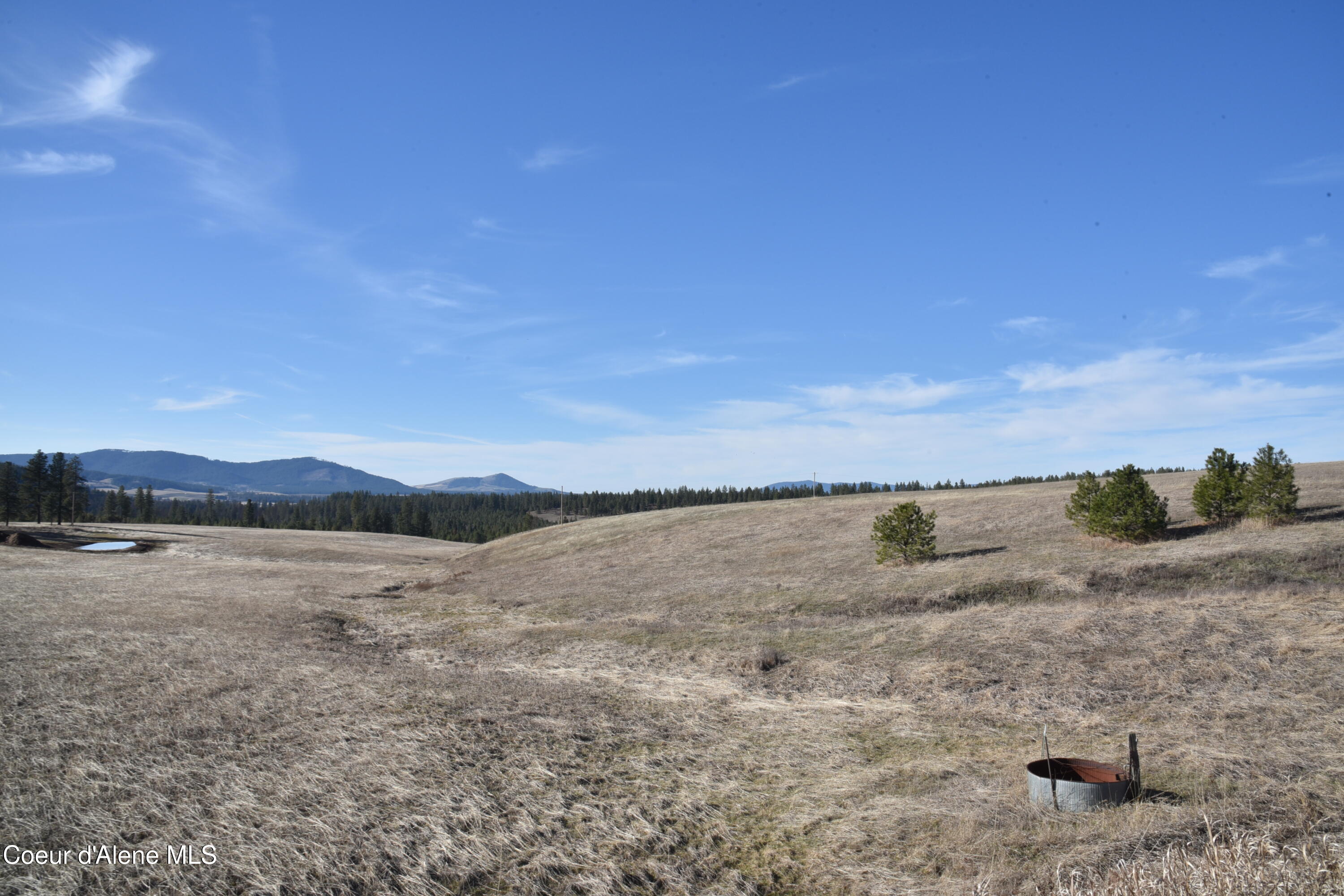 Nna Moses Mountain Road Tensed, ID 83870 - Photo 13 of 13 HOU_9544
