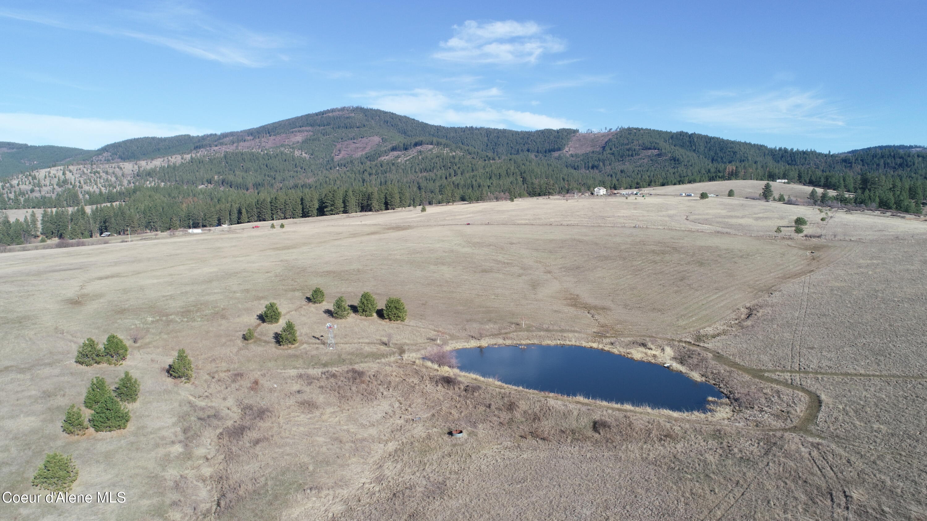Nna Moses Mountain Road Tensed, ID 83870 - Photo 7 of 13 DJI_0057