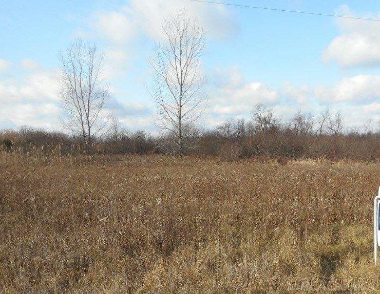 Vl Jordan Road Melvin, MI 48454 - Photo 2 of 22