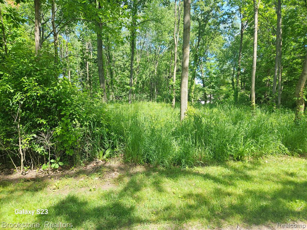 0 Hunts Fork Linden, MI 48451 - Photo 1 of 6