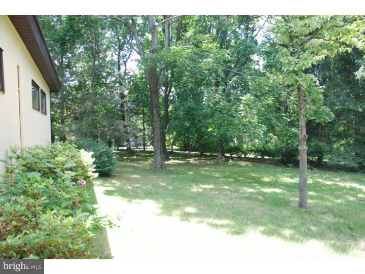 810 Crestview Avenue Reading, PA 19607 - Photo 22 of 25 Back Yard