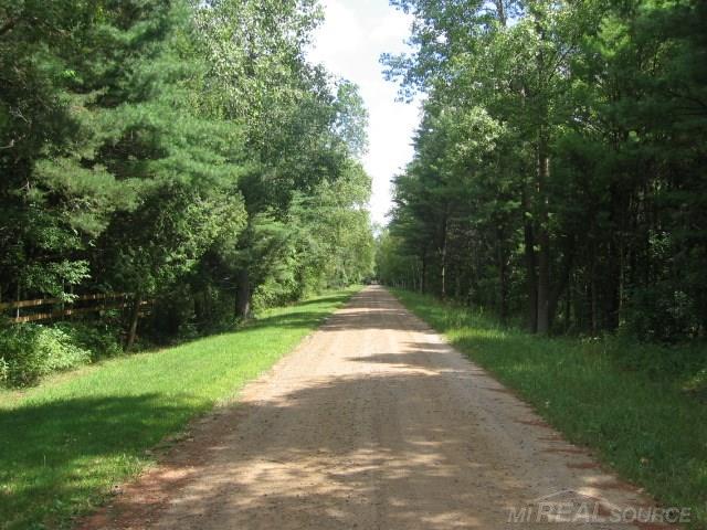 5741 Hintz Road Palms, MI 48465 - Photo 51 of 51 Beautiful Hintz Rd