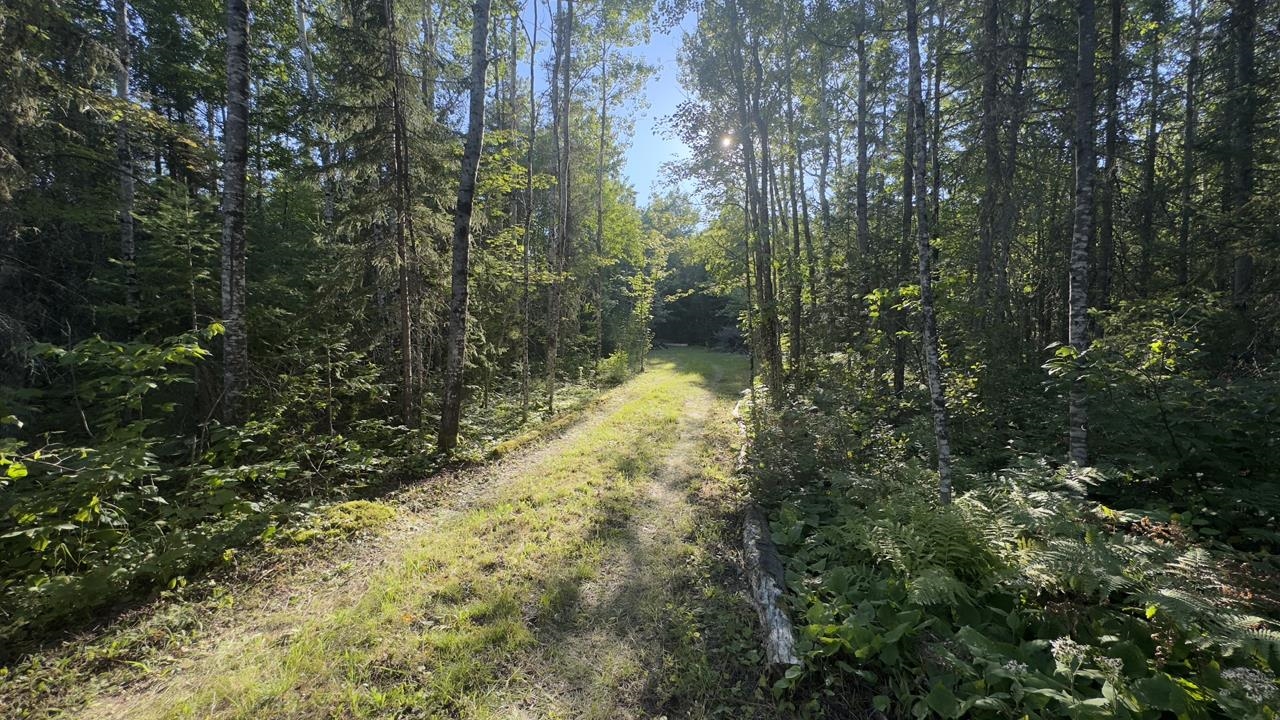 2473 Retreat Lodge Road Cook, MN 55723 - Photo 6 of 9