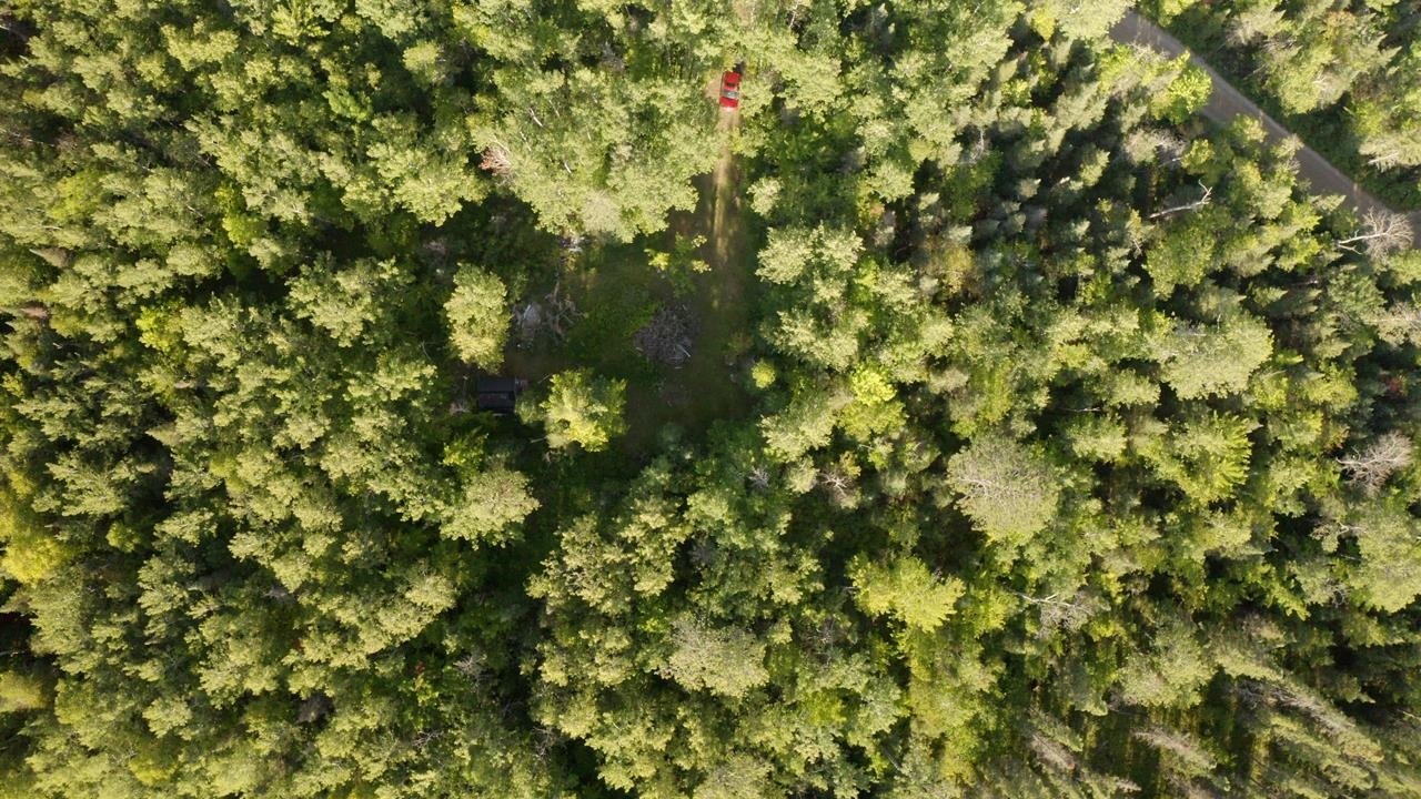 2473 Retreat Lodge Road Cook, MN 55723 - Photo 9 of 9