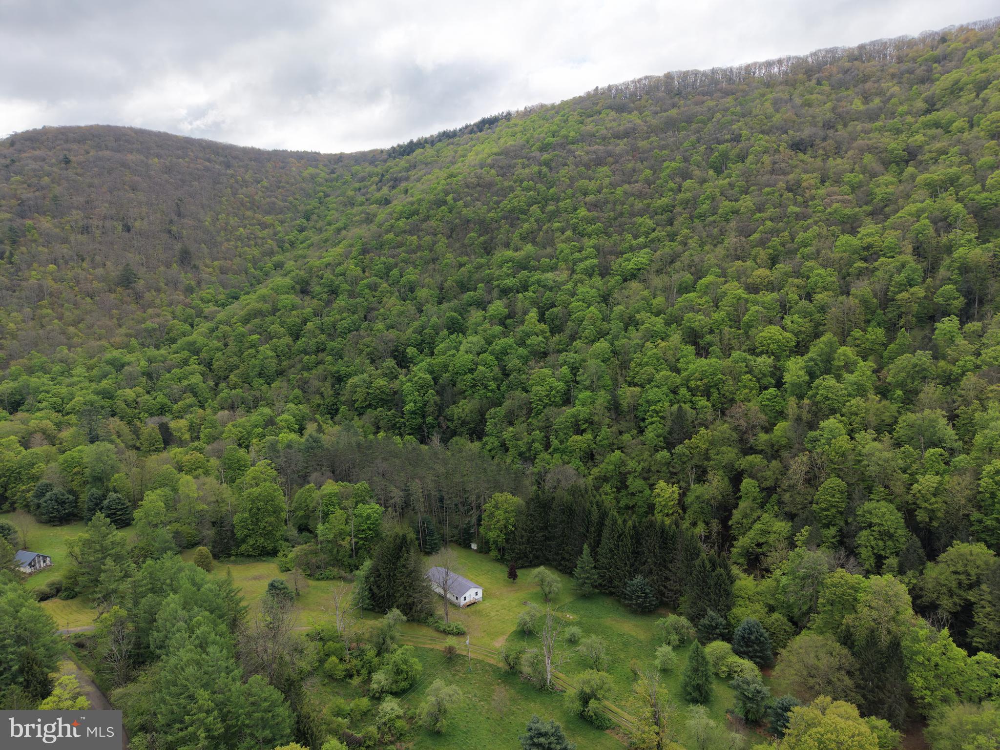 1227 Cross Fork Creek Road Cross Fork, PA 17729 - Photo 11 of 139