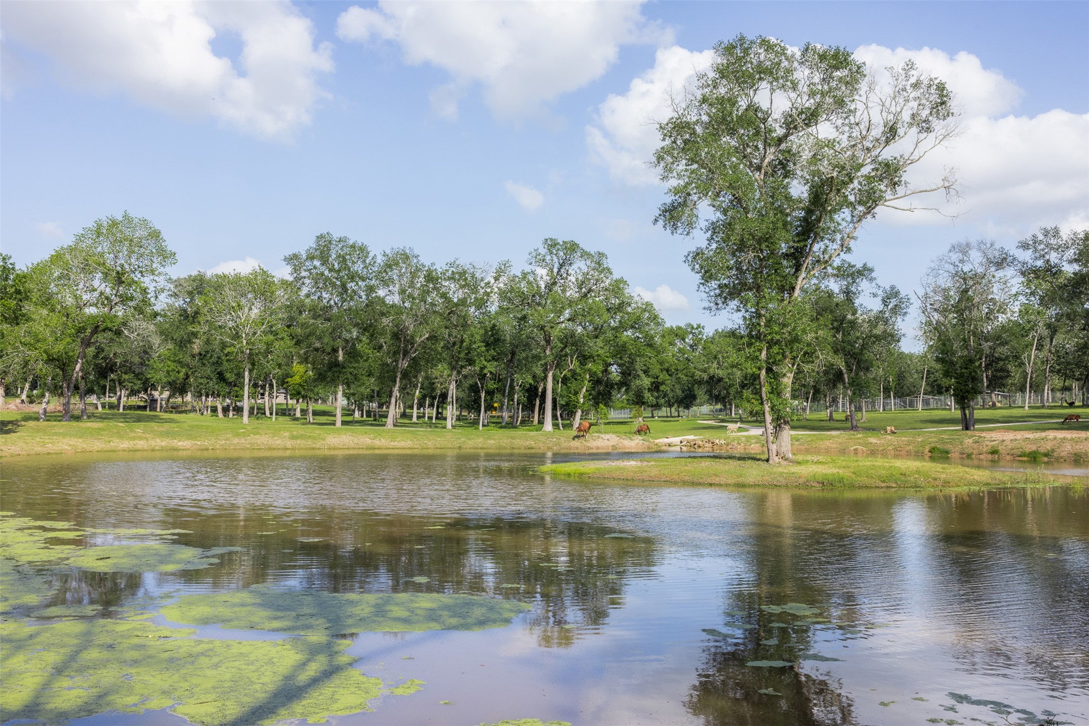 7521 Schoenau Road Brenham, TX 77833 - Photo 38 of 49