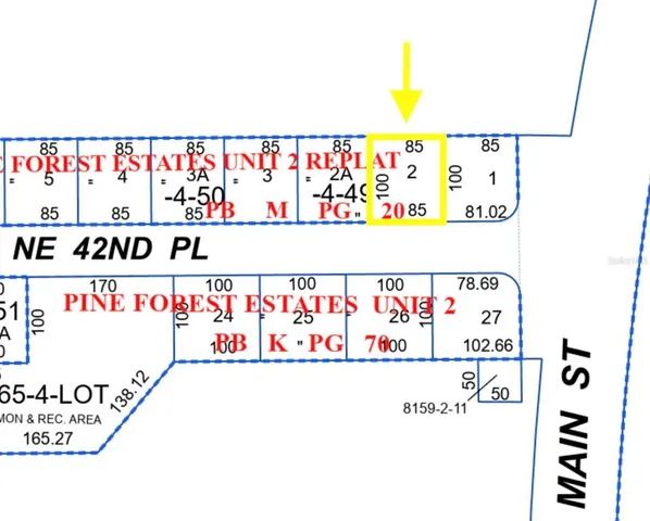 a view of a yard with plants and trees
