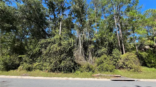 a view of a yard with plants and trees