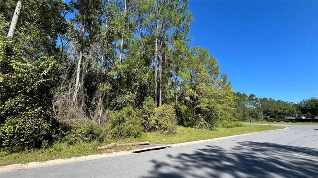 a view of a garden with plants