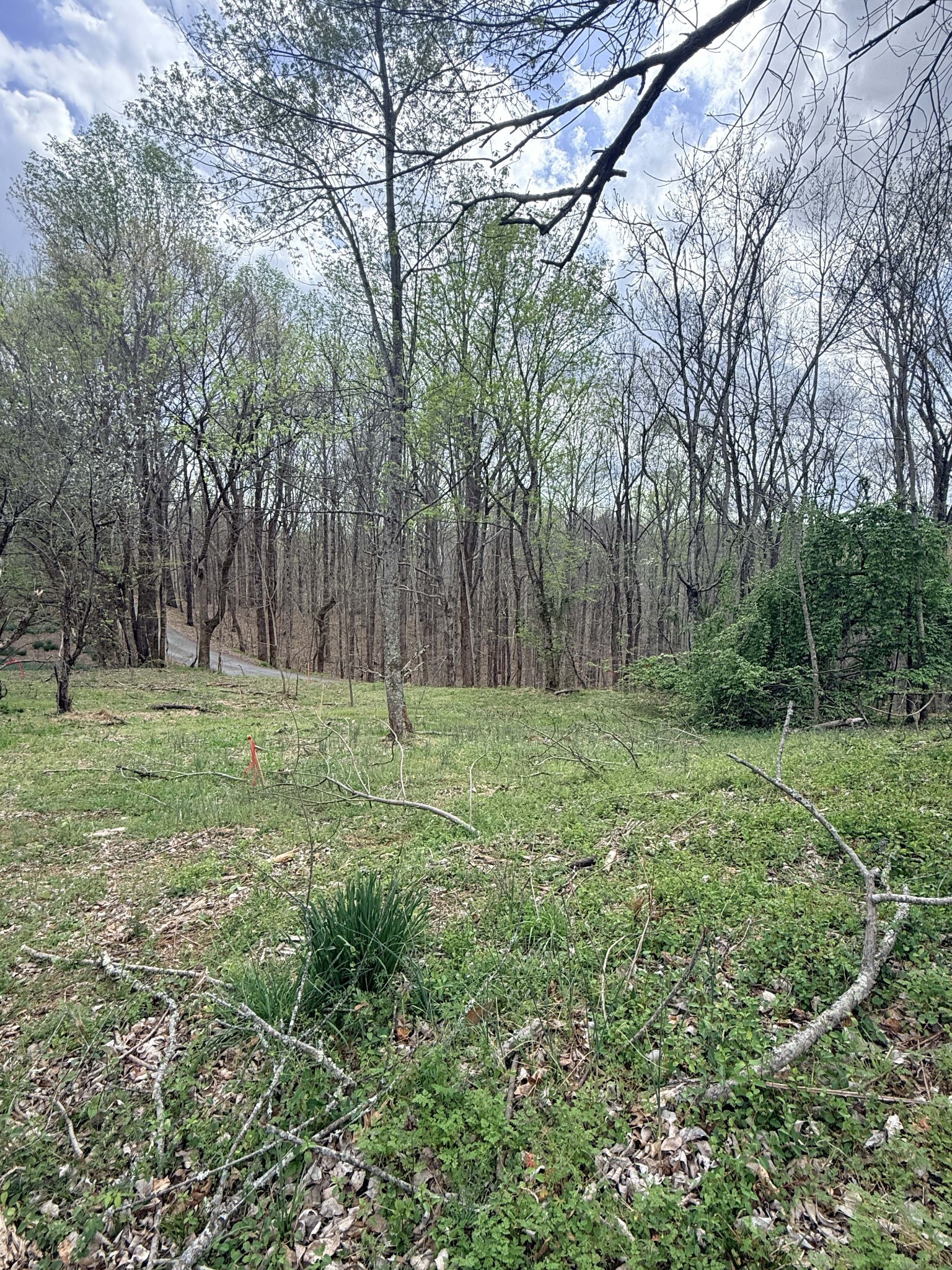 935 Sugar Tree Knob Road Liberty, TN 37095 - Photo 19 of 23