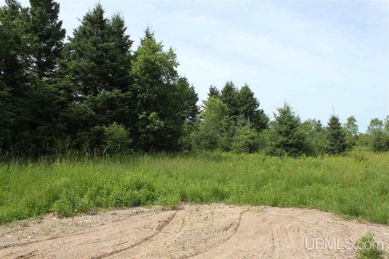 Tbd Riley Road Shingleton, MI 49884 - Photo 1 of 24