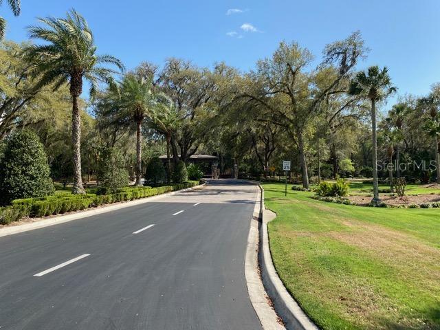 7174 Southwest 179th Ct Road Dunnellon, FL 34432 - Photo 13 of 19