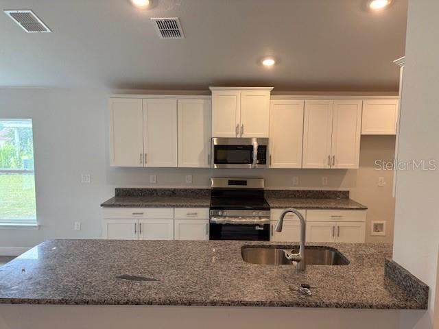 7174 Southwest 179th Ct Road Dunnellon, FL 34432 - Photo 6 of 19