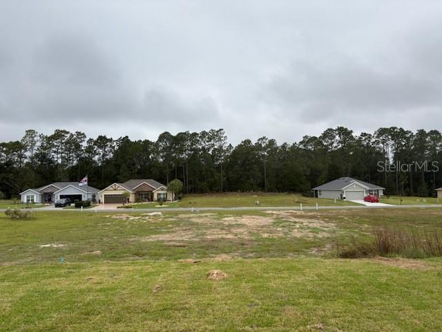 7174 Southwest 179th Ct Road Dunnellon, FL 34432 - Photo 10 of 19