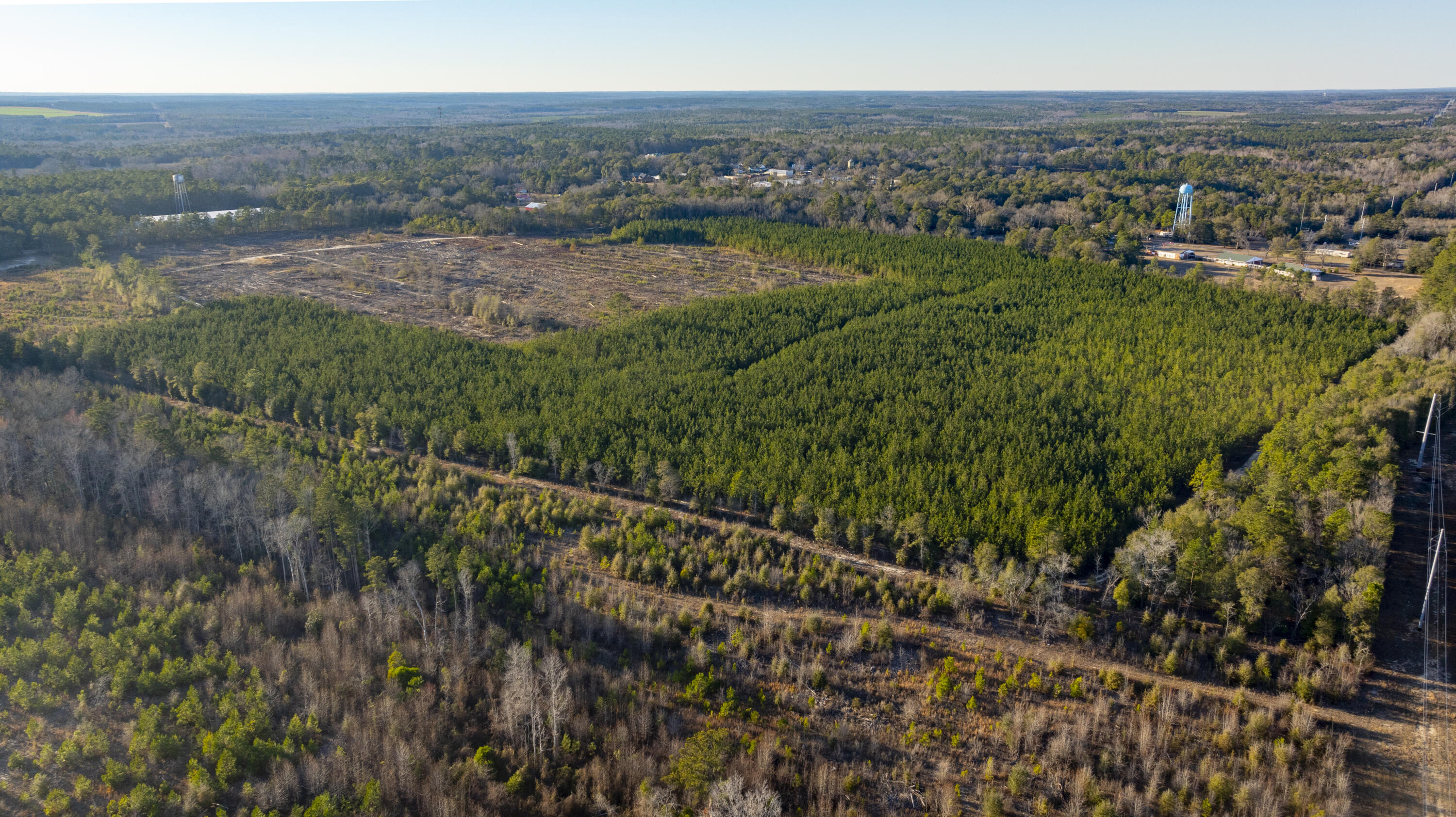 0 Maple Street Southwest Salley, SC 29137 - Photo 5 of 9