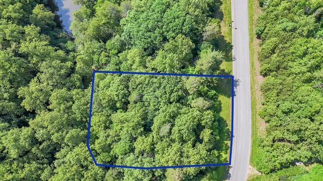 a view of a garden from a balcony