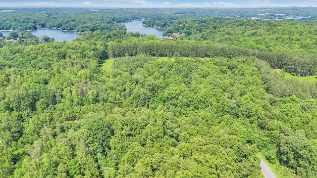 an aerial view of residential houses with outdoor space and trees
