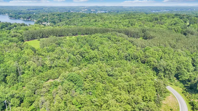a view of a large yard with lots of green space