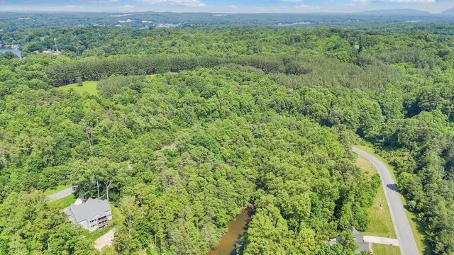 a view of a lush green forest with lots of trees