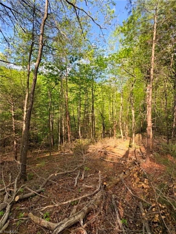 Tbd Shoe Road Millers Creek, NC 28651 - Photo 11 of 18