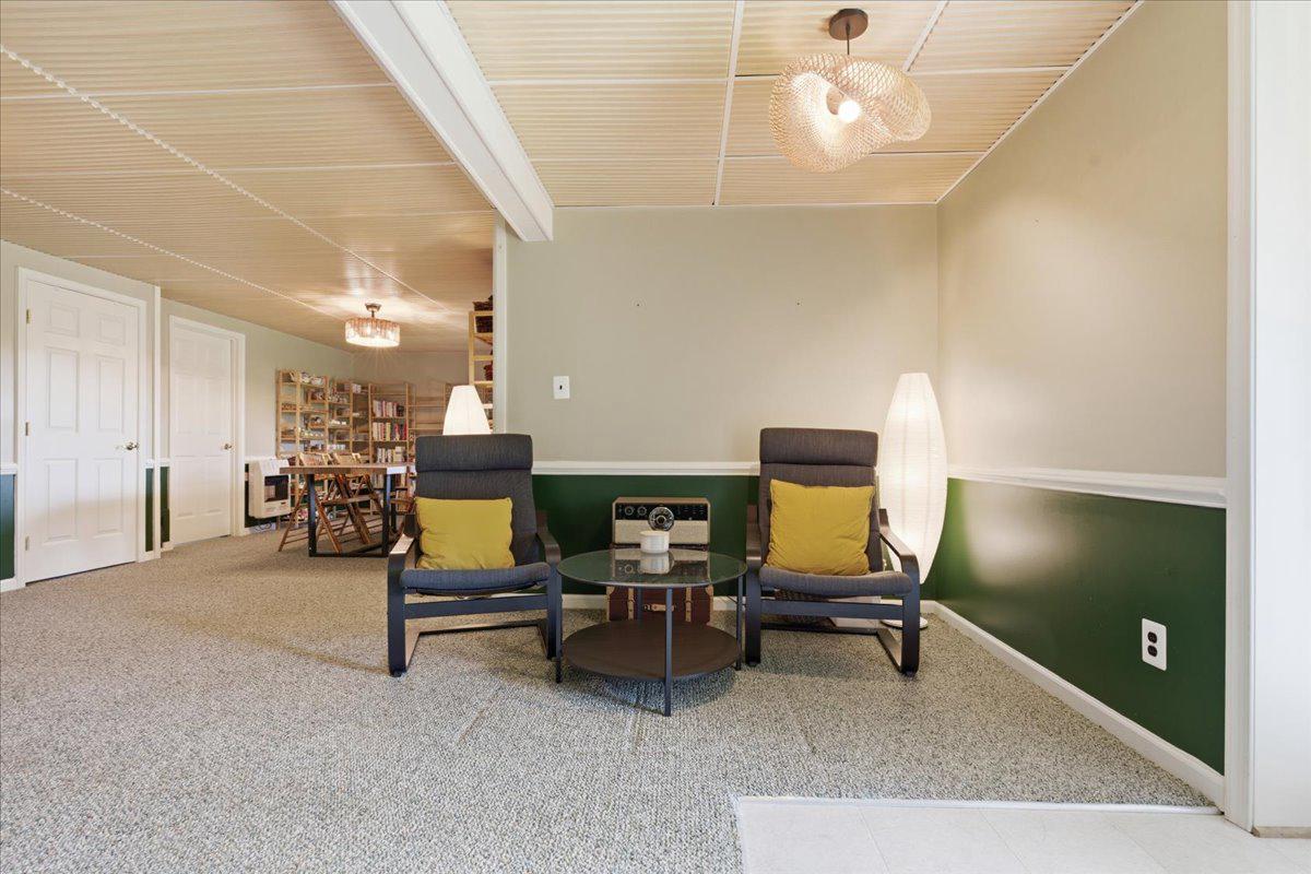 15240 Sheads Mountain Road Rixeyville, VA 22737 - Photo 39 of 70 Basement inviting space with modern charm.