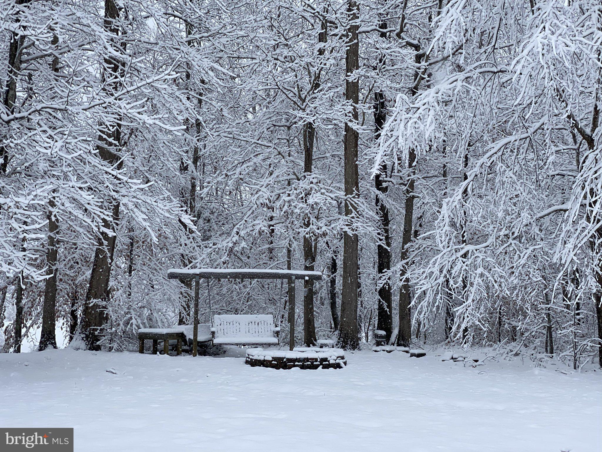 15240 Sheads Mountain Road Rixeyville, VA 22737 - Photo 70 of 70 Winter's serene woodland retreat.