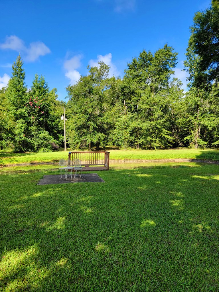 101 Crawford Road Cowarts, AL 36321 - Photo 5 of 33