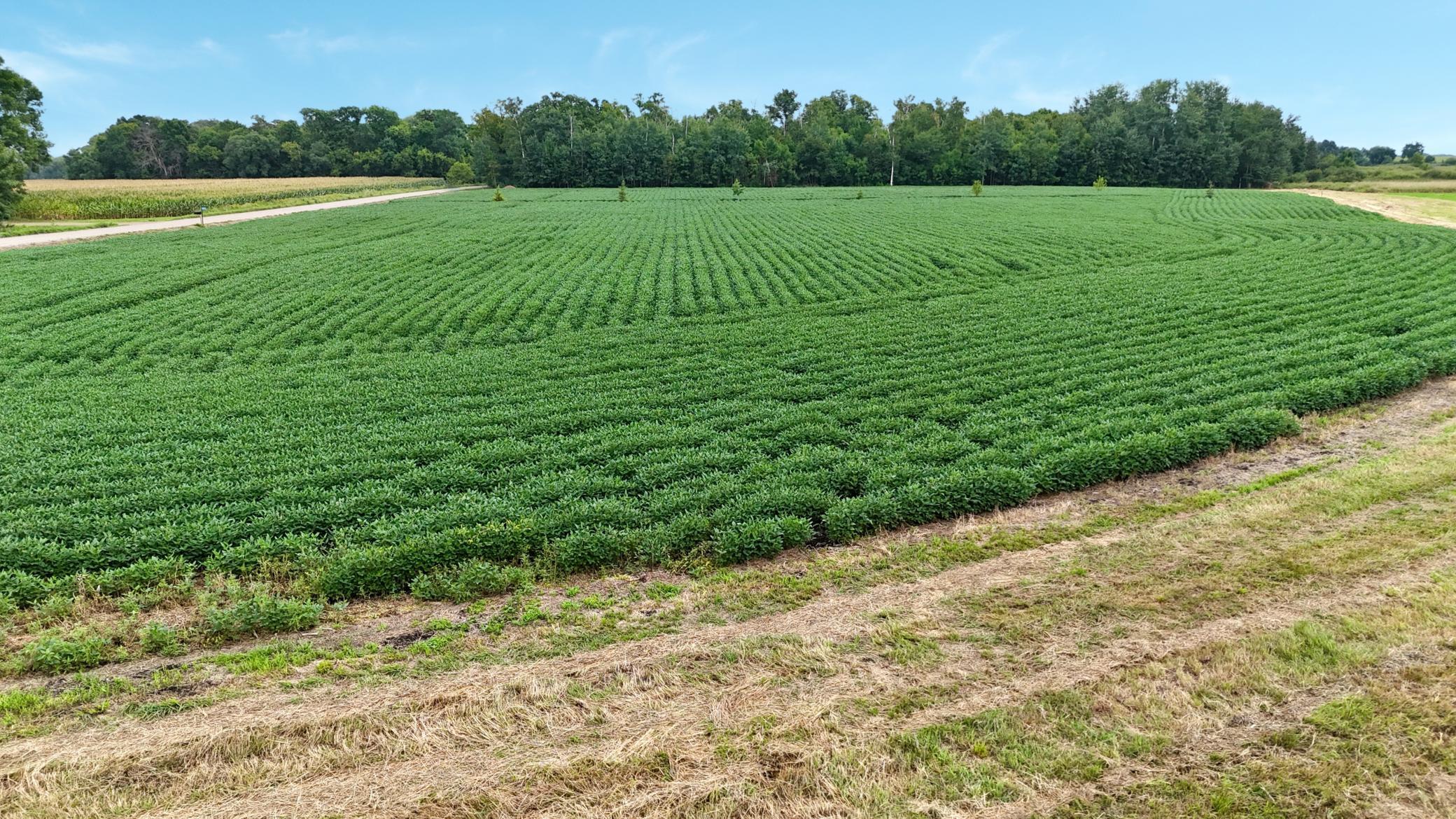 Tbd 115th Street Northeast Foley, MN 56329 - Photo 13 of 42 Gallery Image 13