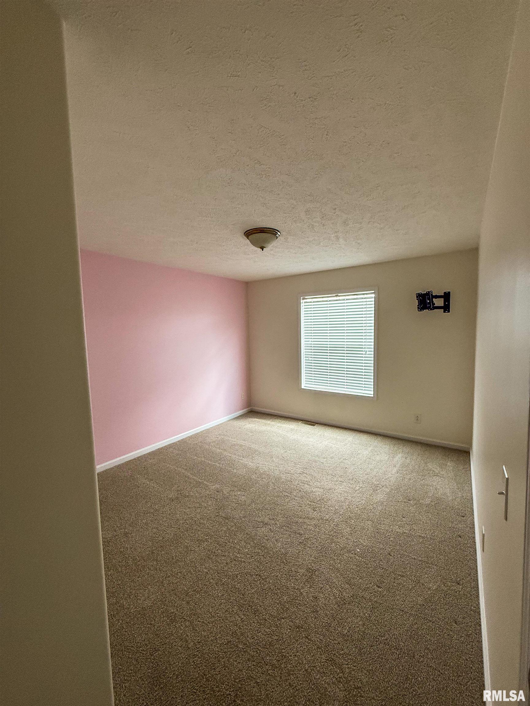 8860 Shawnee Hill Road Shawneetown, IL 62984 - Photo 11 of 14