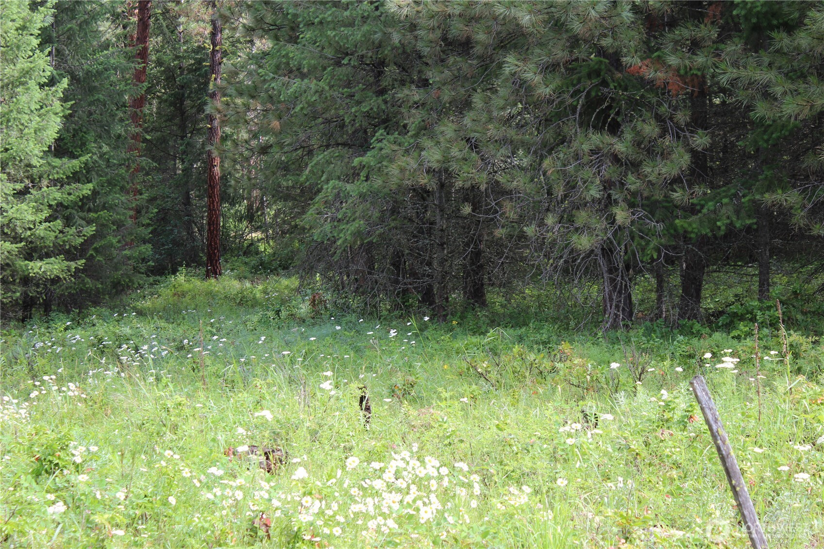 2514 Bridgeman-Rettinger Road Kettle Falls, WA 99141 - Photo 27 of 37 Gallery Image 27