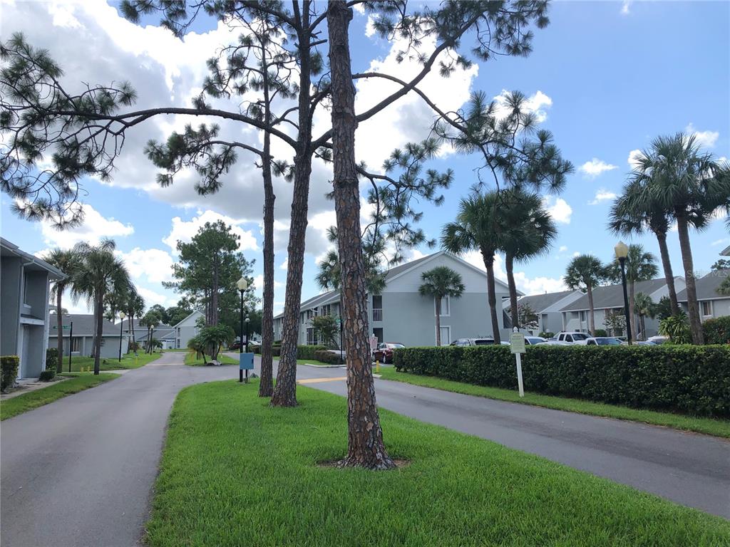 5613 Blue Shadows Court, Unit 2 Orlando, FL 32811 - Photo 23 of 26 a view of a park with tree s