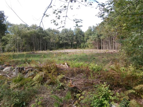Lot 4 Old Poor Farm Road Ware, MA 01082 - Photo 2 of 6
