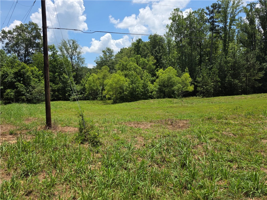 0 Pope Drive Belton, SC 29627 - Photo 3 of 6