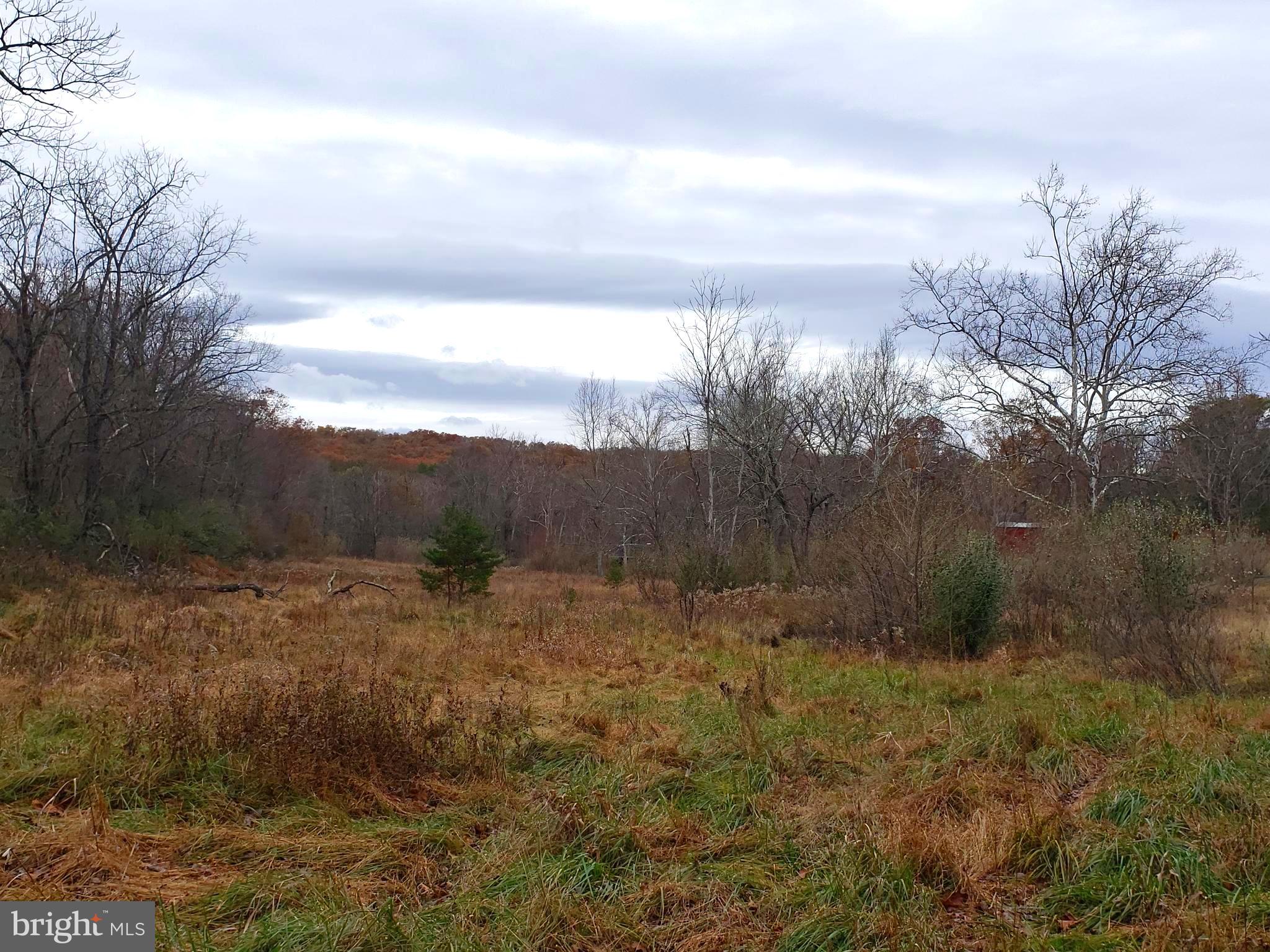 Lot 9 Cattail Road Winchester, VA 22603 - Photo 2 of 22 Gallery Image 2