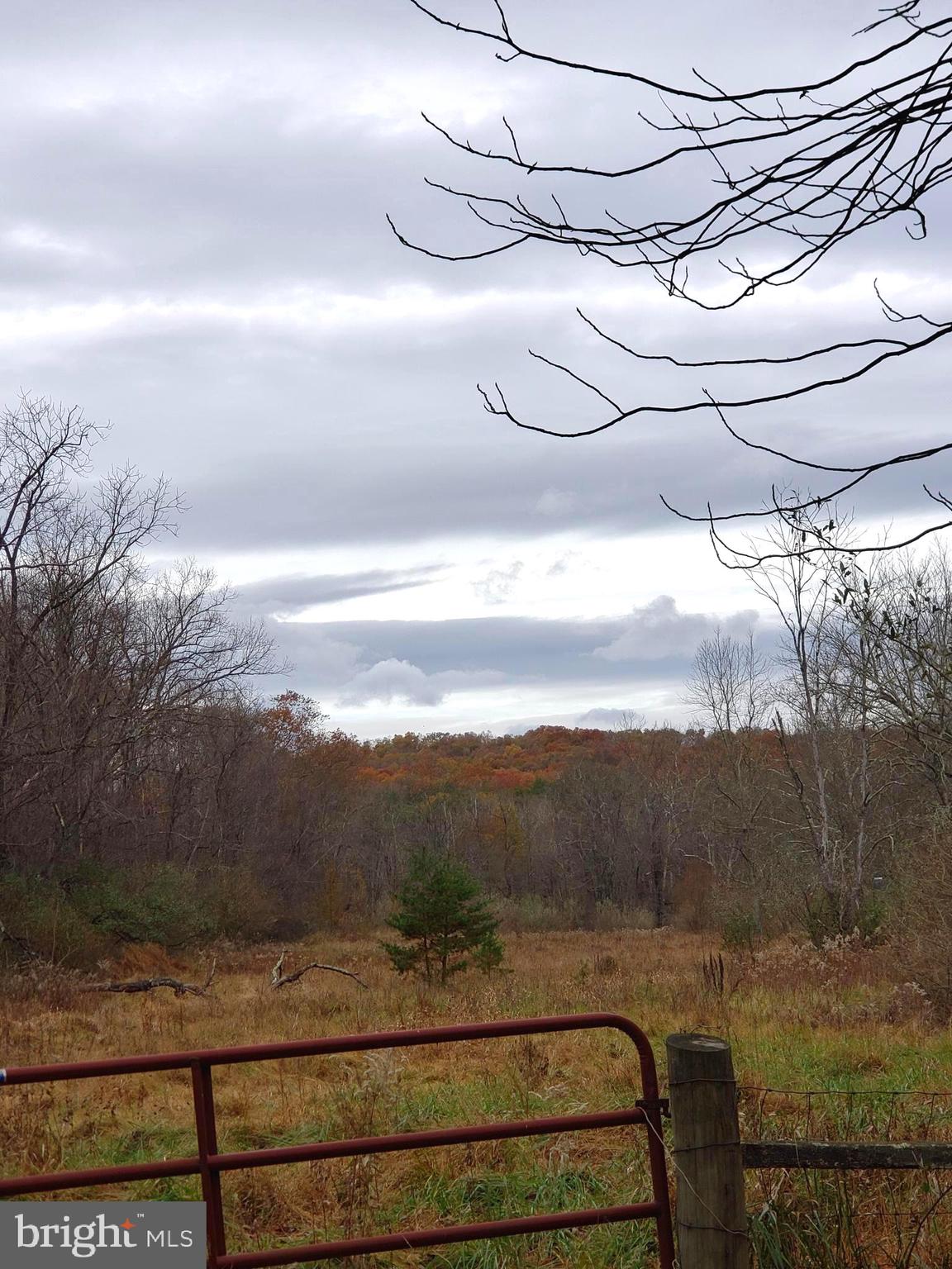 Lot 9 Cattail Road Winchester, VA 22603 - Photo 14 of 22 Gallery Image 14
