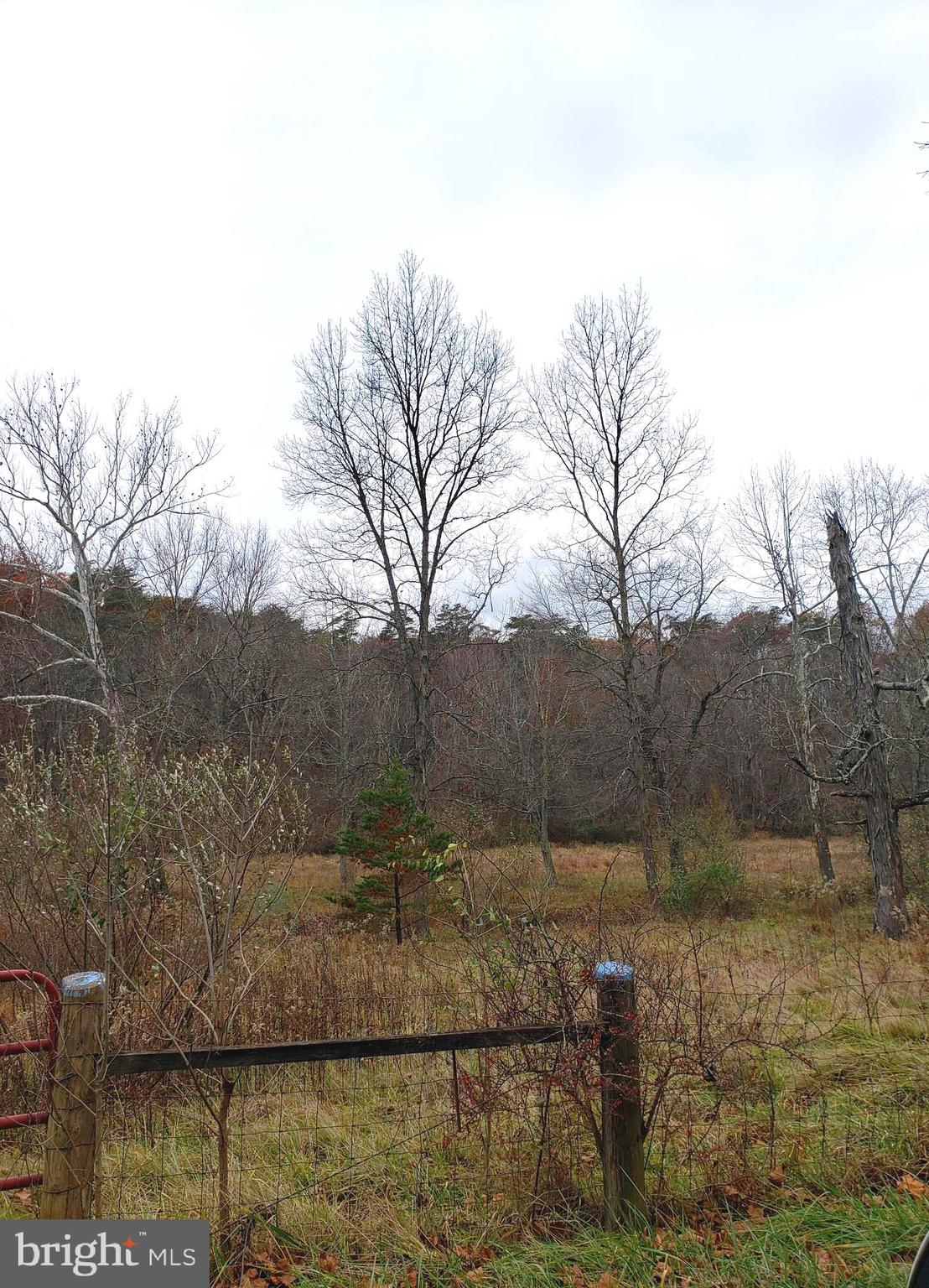 Lot 9 Cattail Road Winchester, VA 22603 - Photo 15 of 22 Gallery Image 15