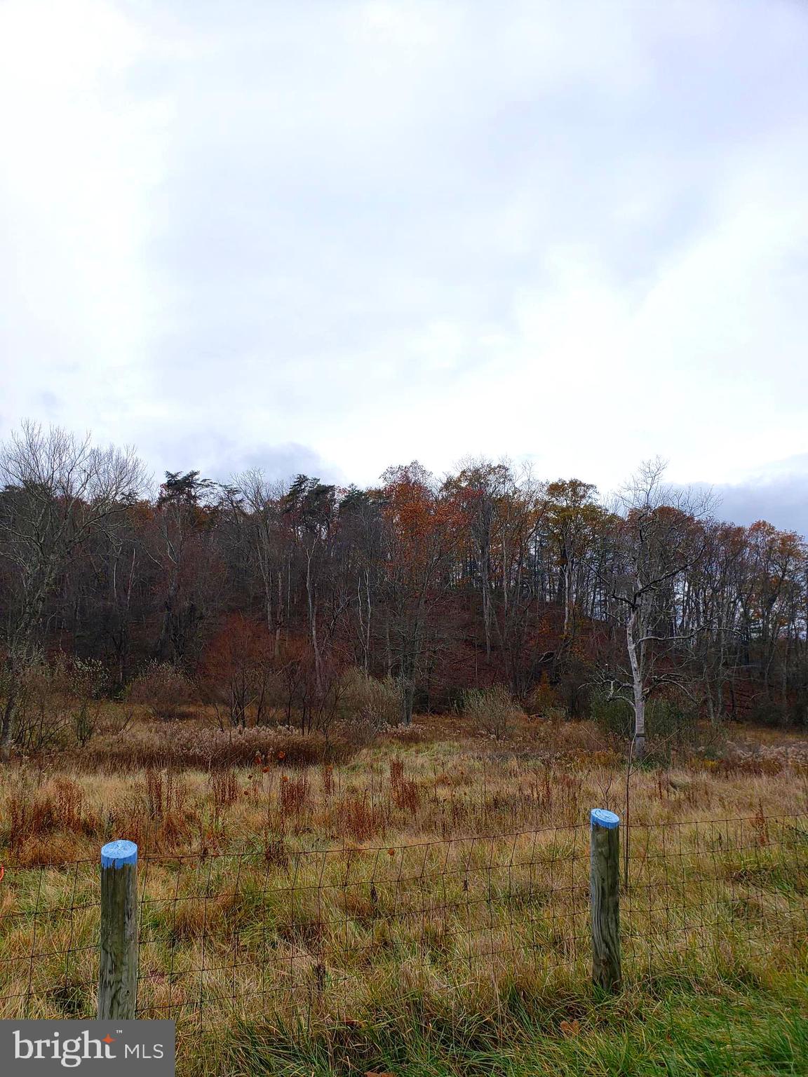 Lot 9 Cattail Road Winchester, VA 22603 - Photo 6 of 22 Gallery Image 6