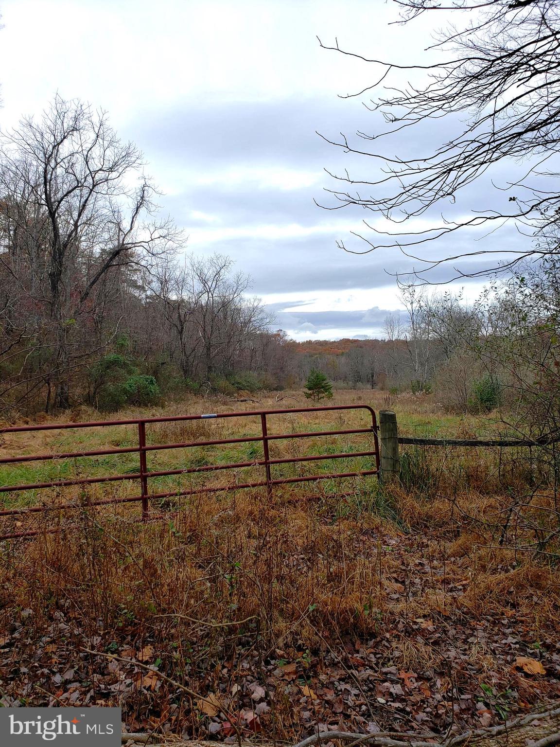 Lot 9 Cattail Road Winchester, VA 22603 - Photo 7 of 22 Gallery Image 7