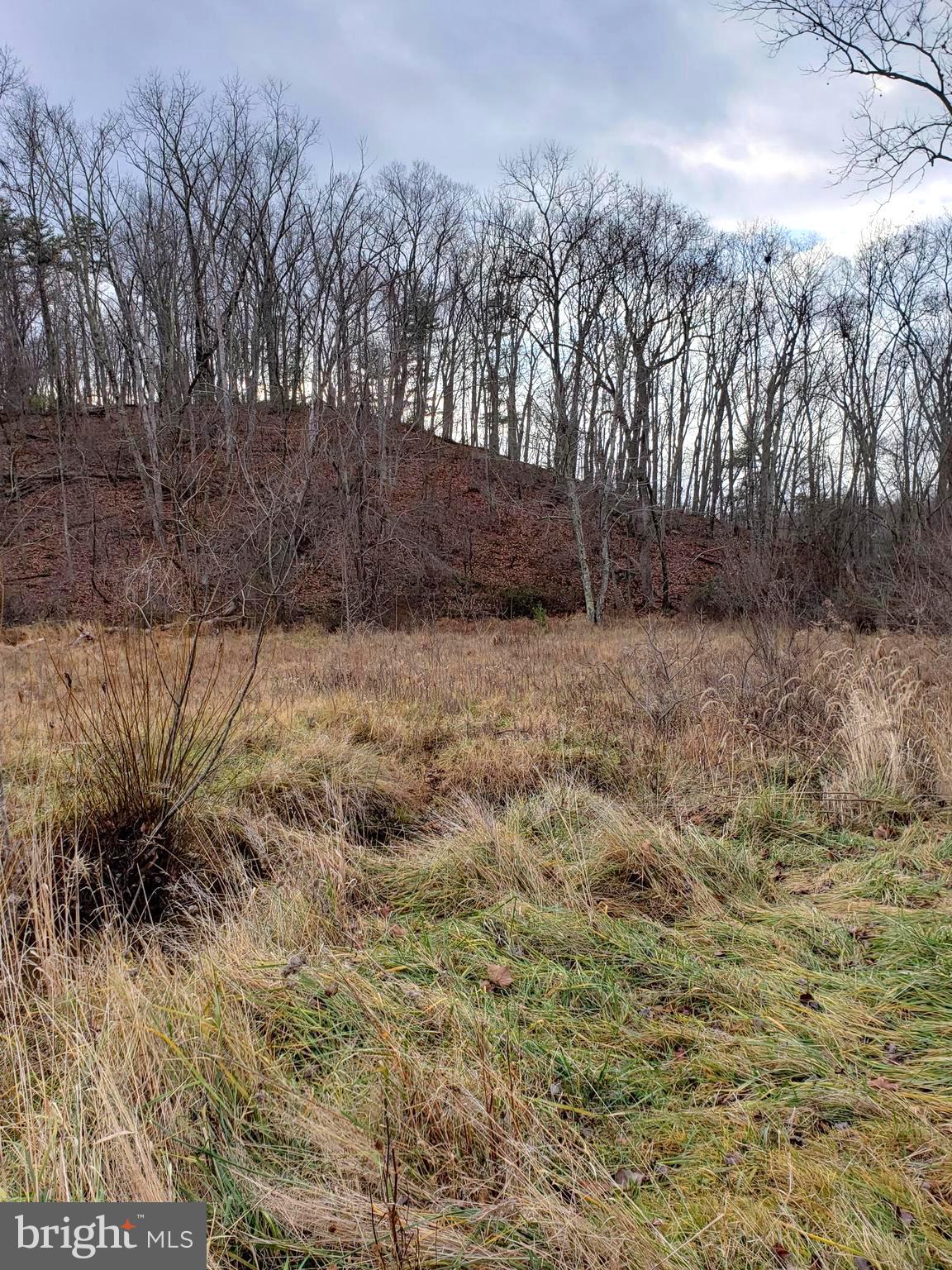 Lot 9 Cattail Road Winchester, VA 22603 - Photo 8 of 22 Gallery Image 8