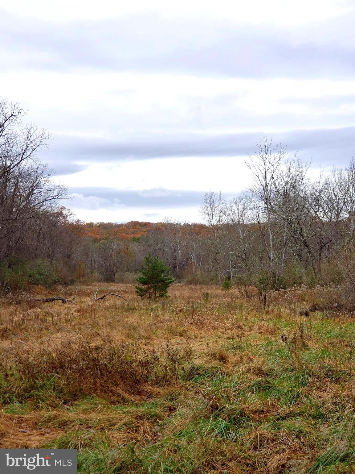 Lot 9 Cattail Road Winchester, VA 22603 - Photo 10 of 22 Gallery Image 10