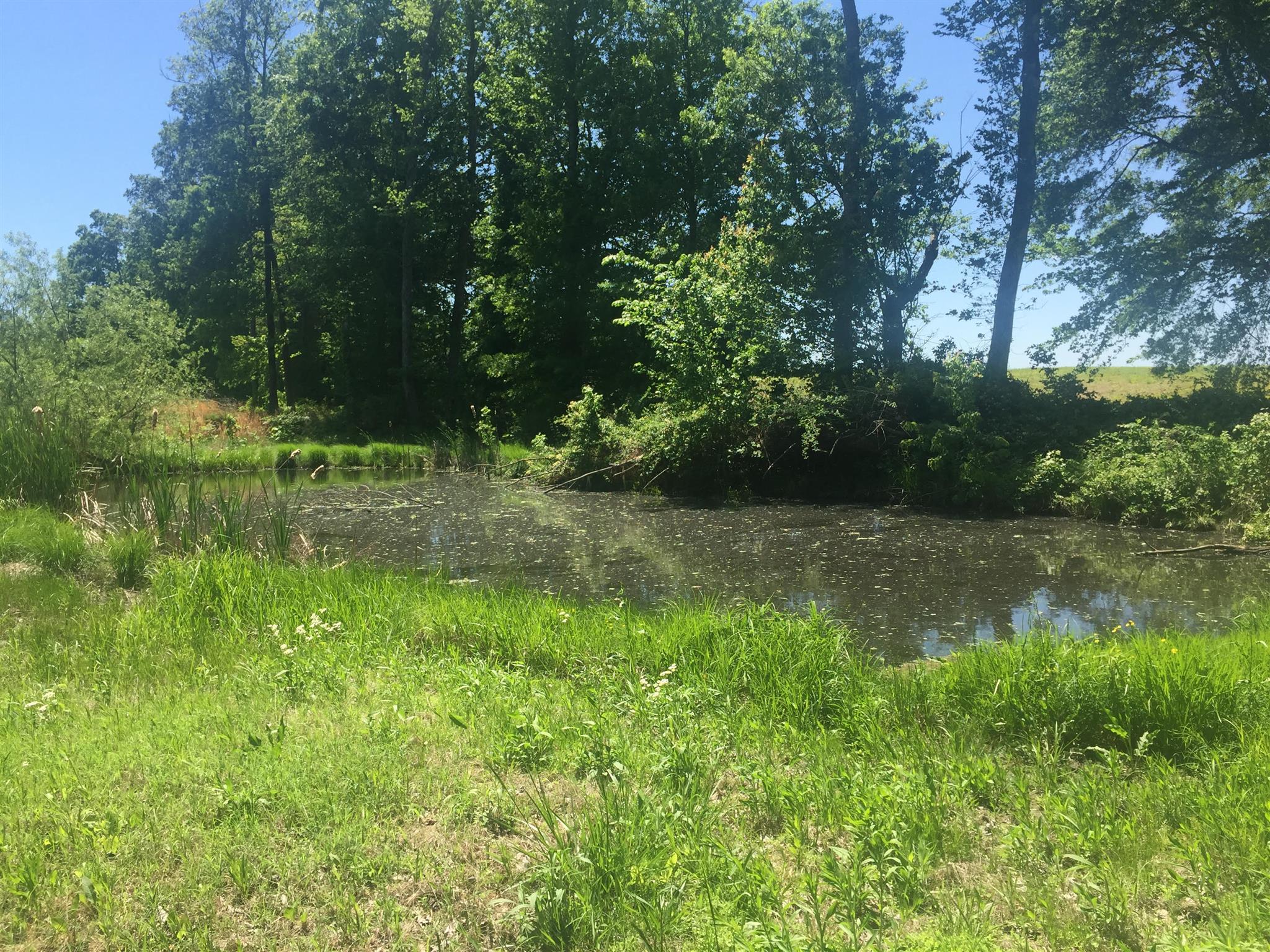 1010 Mission Acres Road Pleasant View, TN 37146 - Photo 29 of 29 Gallery Image 29