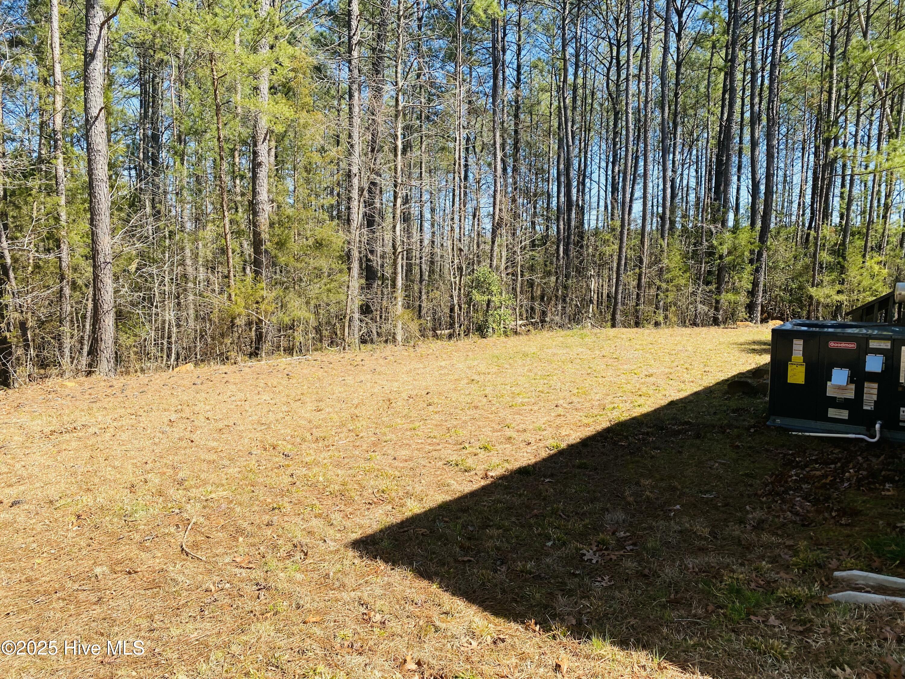 1844 Cool Springs Road Carthage, NC 28327 - Photo 24 of 35 IMG_E8472