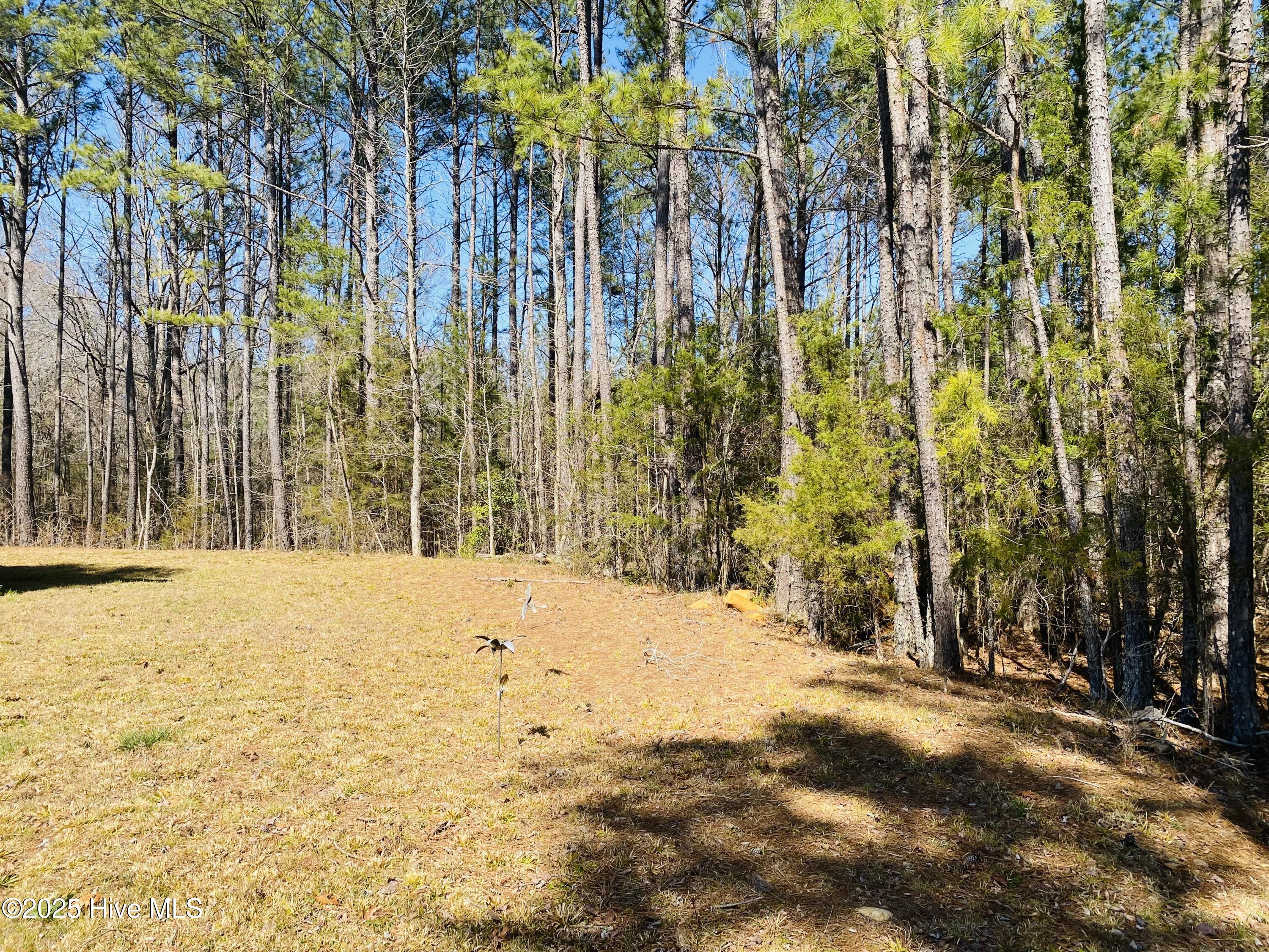 1844 Cool Springs Road Carthage, NC 28327 - Photo 28 of 35 back yard 2