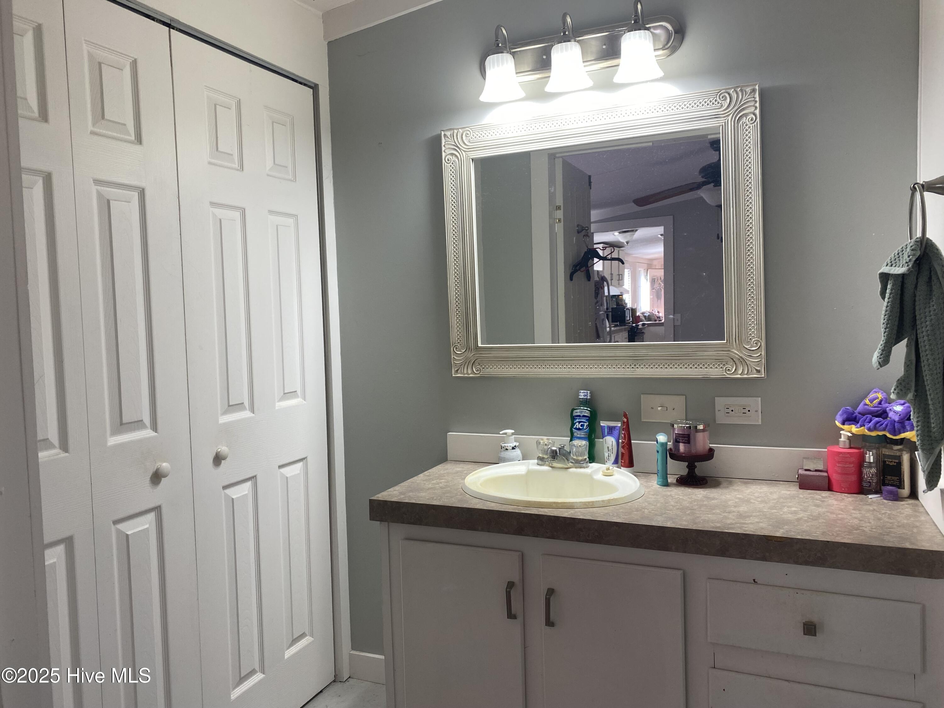 1844 Cool Springs Road Carthage, NC 28327 - Photo 7 of 35 owner's bath vanity