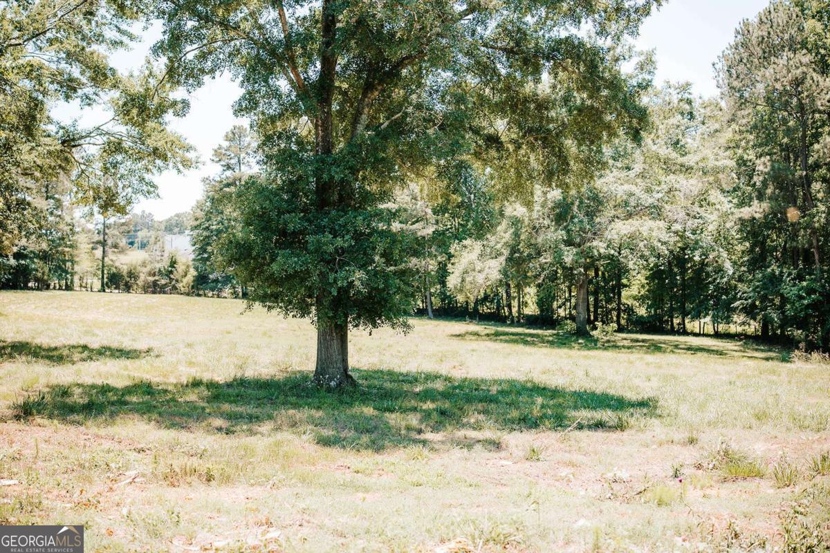 0 Mitchell Farm Road Colbert, GA 30628 - Photo 40 of 45