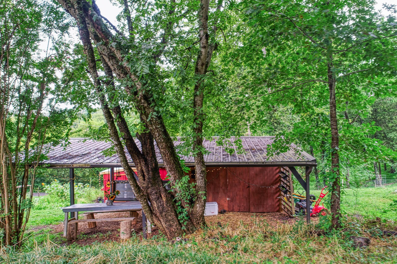 2628 Hodges Ferry Road Kodak, TN 37764 - Photo 66 of 89 Gallery Image 66