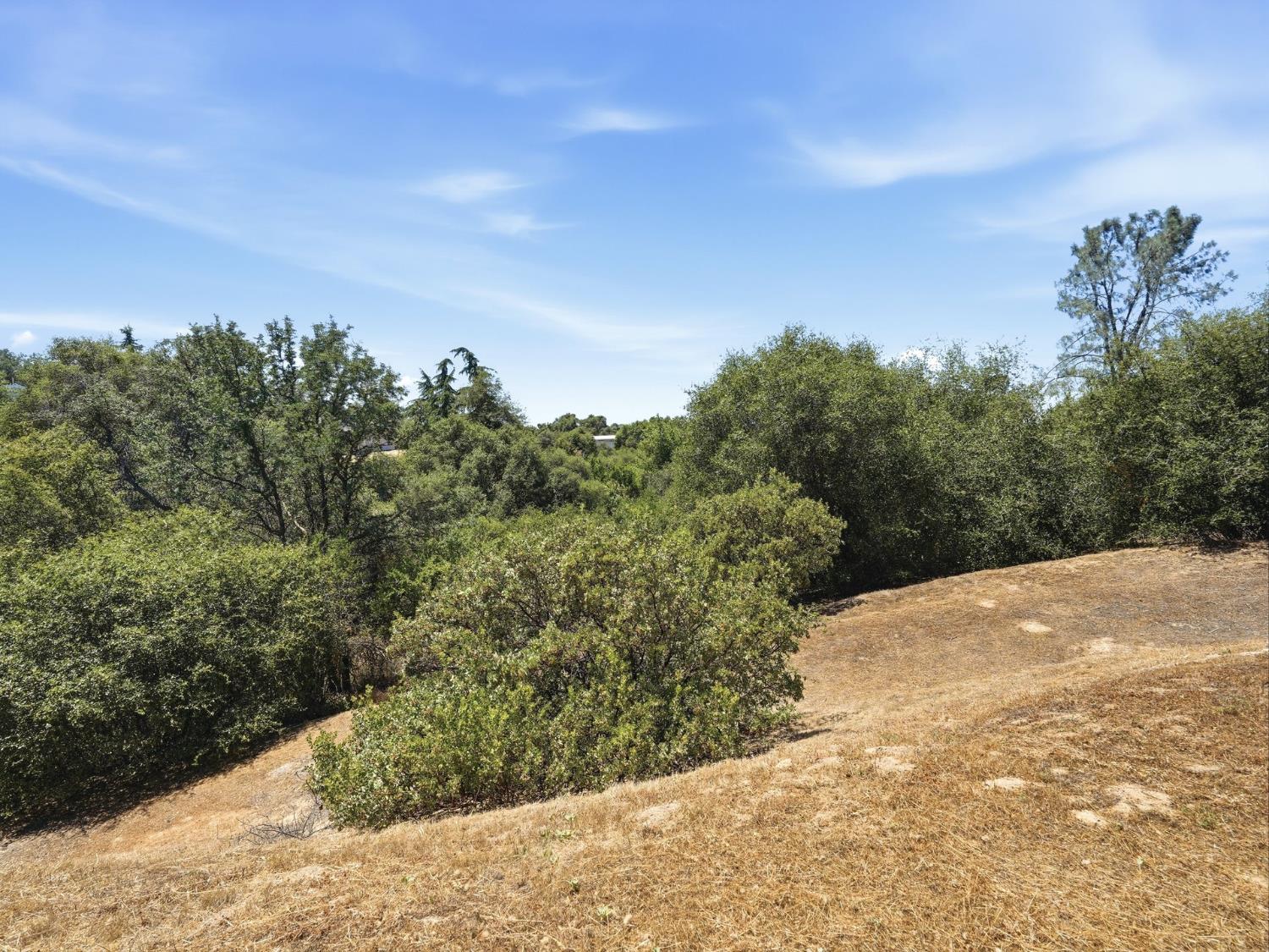 31490 Kennedy Road Coarsegold, CA 93614 - Photo 44 of 94