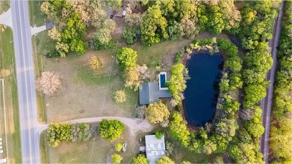 a bird view of a garden