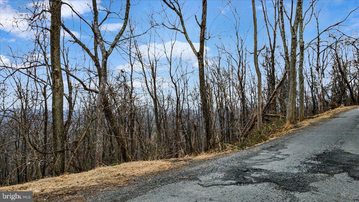 2621 Lookout Road Haymarket, VA 20169 - Photo 4 of 11 a view of a backyard of the house